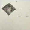 JLZ-873 Woven fabric